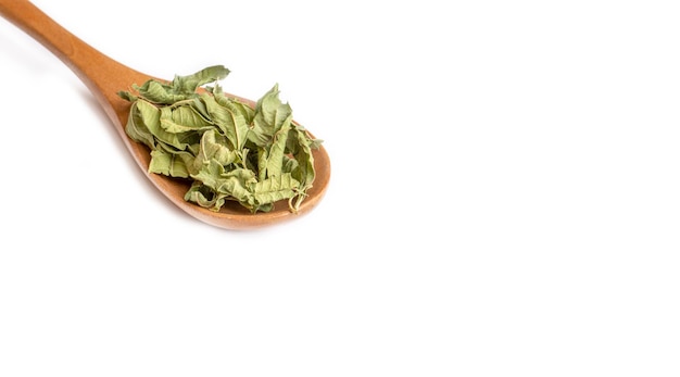 Salvia Officinalis (Green sage tea) on the white background