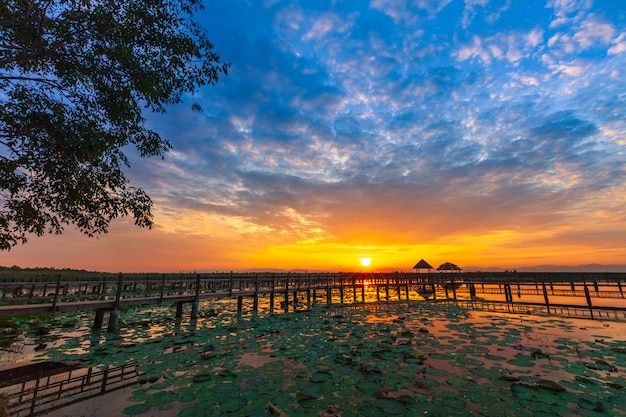 Sam Roi Yot Freshwater Marsh