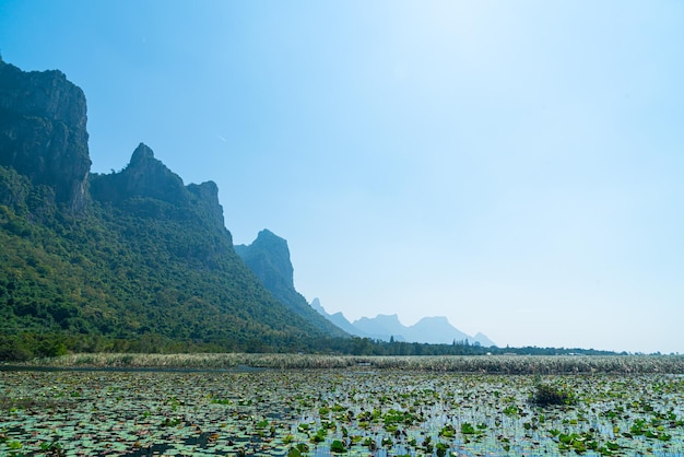 Sam Roi Yot Zoetwatermoeras of Bueng Bua Khao Sam Roi Yot Nationaal Park in Thailand