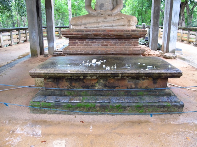 Samadhi-standbeeld in Anuradhapura, Sri Lanka