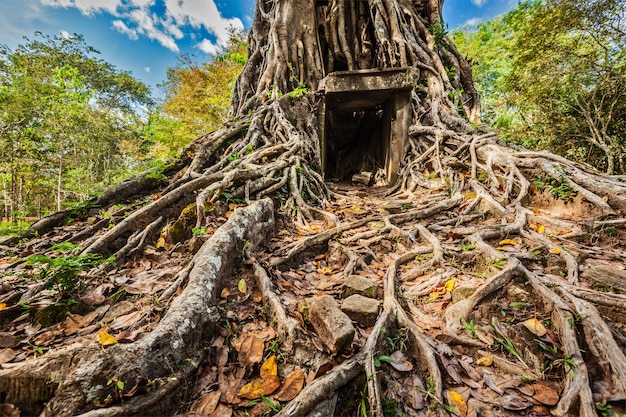 Sambor Prei Kuk temple ruins, Cambodia