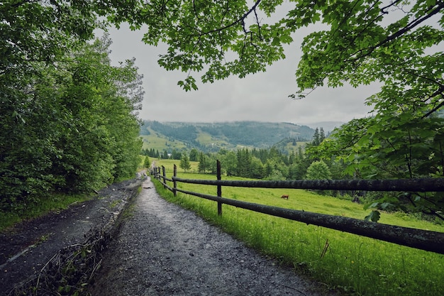 Samengestelde landschapsomheining dichtbij de kruisweg op heuvelweide in bergen