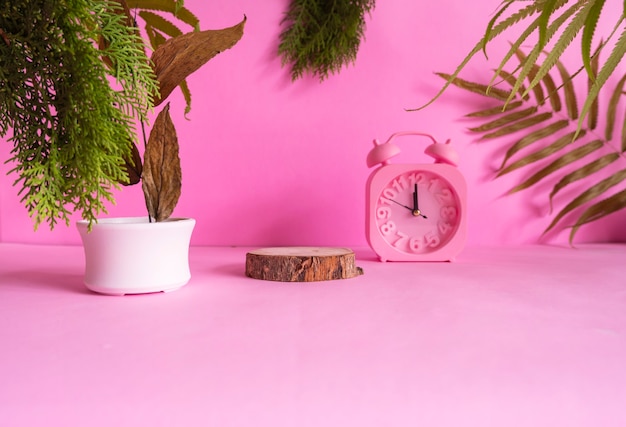 Samenstelling ideeën concept met producten. rond hout op een roze achtergrond versierd met, droge bladeren, dennenbladeren en klok