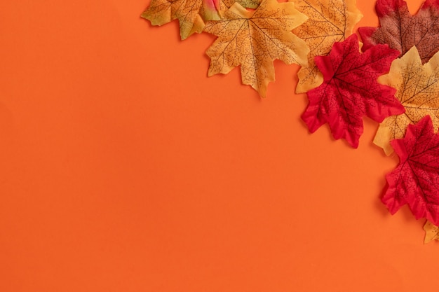 Samenstelling met de bladeren van de fauxherfst op oranje achtergrond