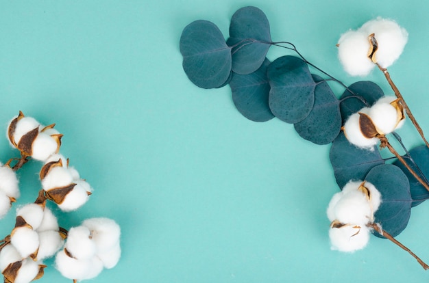 Samenstelling met katoenen bloemen op een helder oppervlak