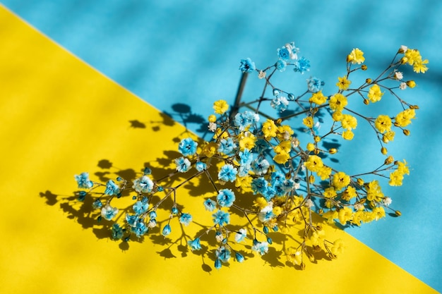 Samenstelling van bloemen en gekleurd papier achtergrond in geel blauwe Oekraïense kleuren