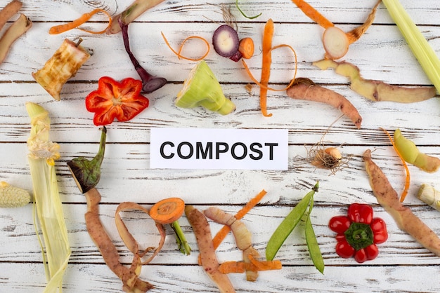 Foto samenstelling van compost gemaakt van rot voedsel