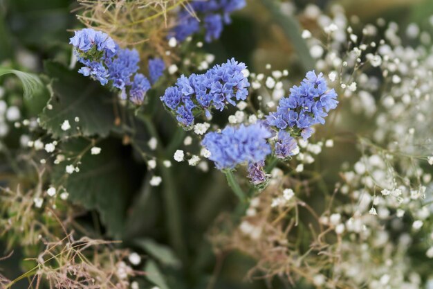 Samenstelling van groene droogbloemen en wilde bloemen Boeket van groene droogbloemen