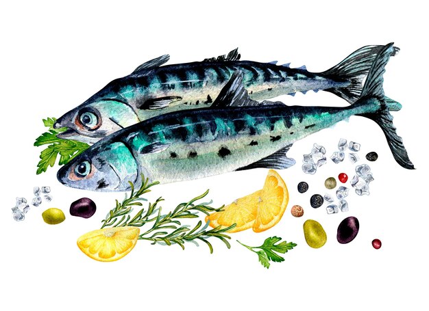 Samenstelling van makreel en specerijen aquarel illustratie geïsoleerd op wit