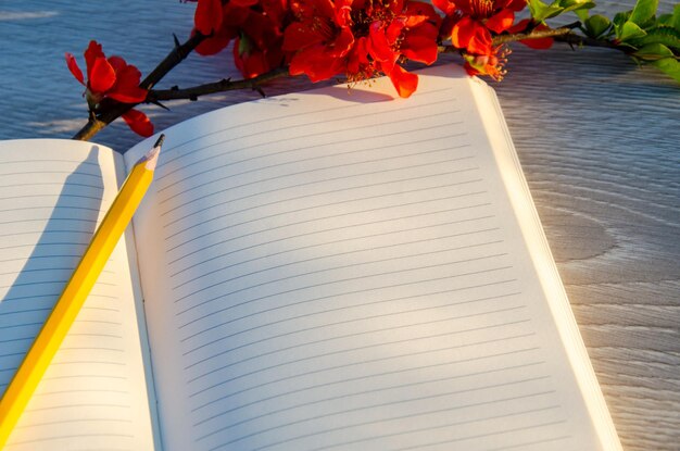 Samenstelling van rode bloemen en een notitieboekje voor notities op een houten tafel Lege ruimte voor tekst