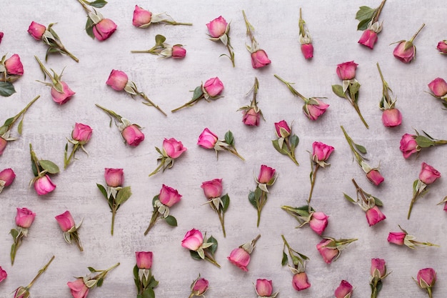 Samenstelling van roze bloemen