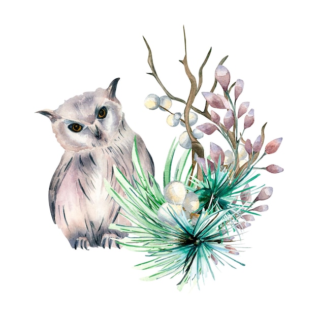 Samenstelling van winterplanten en uil aquarel illustratie geïsoleerd op wit