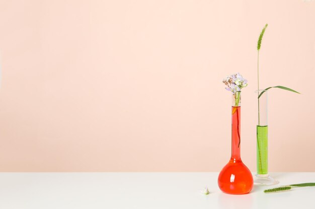 Samenstelling voor het maken van cosmetisch concept voor het maken van cosmetica met bloemen