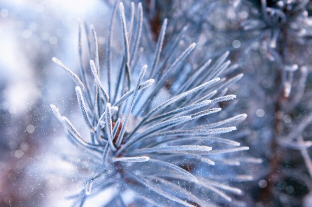 Samenstelling voor kerstmis of nieuwjaar. kerstmisspeelgoed op sparren. sneeuwvlokken en schittering