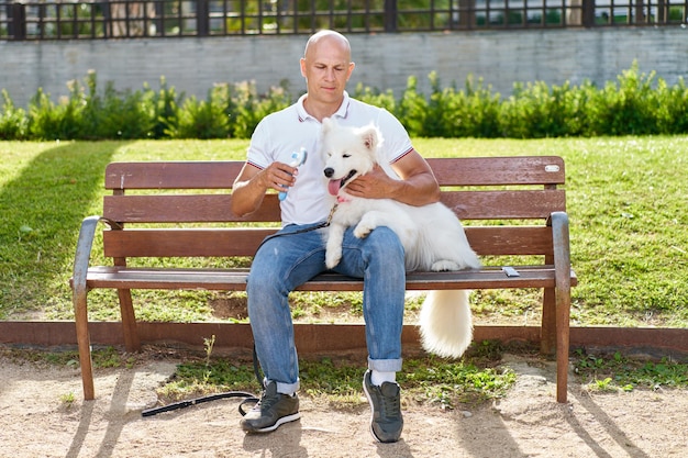 Samojeed hond met haar baasje in het park samen spelen