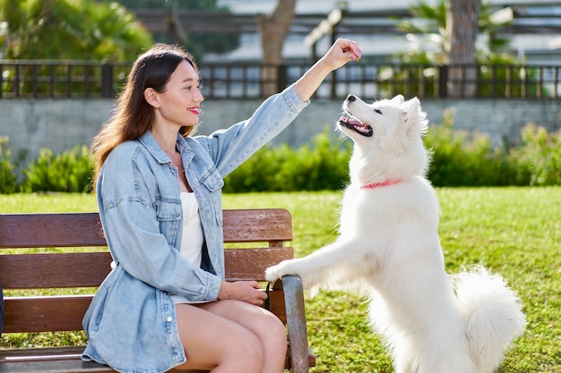 Foto cane samoiedo con la sua proprietaria al parco che giocano insieme