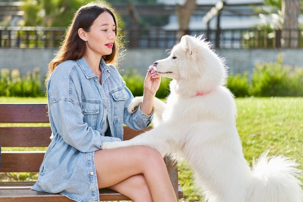 Cane samoiedo con la sua proprietaria al parco che giocano insieme