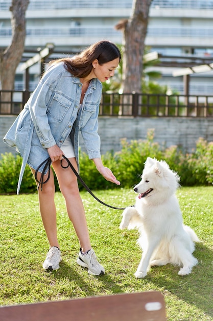 Самоедская собака со своей хозяйкой в парке, играя вместе