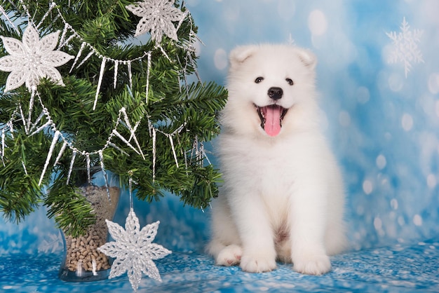 Photo samoyed puppy with christmas tree christmas greeting card with samoyed dog happy new year