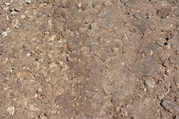 sample of ground with mud and pebbles, close-up