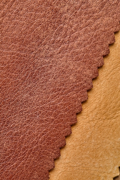 Sample of leather textile brown colors background catalog and\
swatch tone of interior fabric for furniture closeup collection of\
multicolored cloth with skin pattern macro