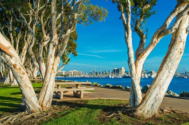 Photo san diego waterfront park