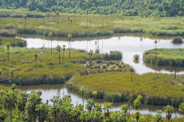 San dionisio oasis in sierra de la laguna baja california sur mexico