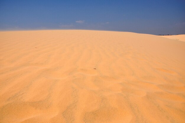 San duinen in de woestijn