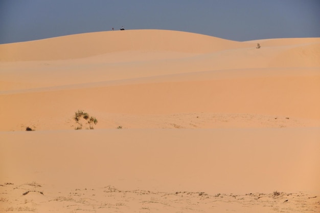 San dunes in the desert