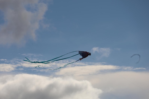 San Francisco Kite festival