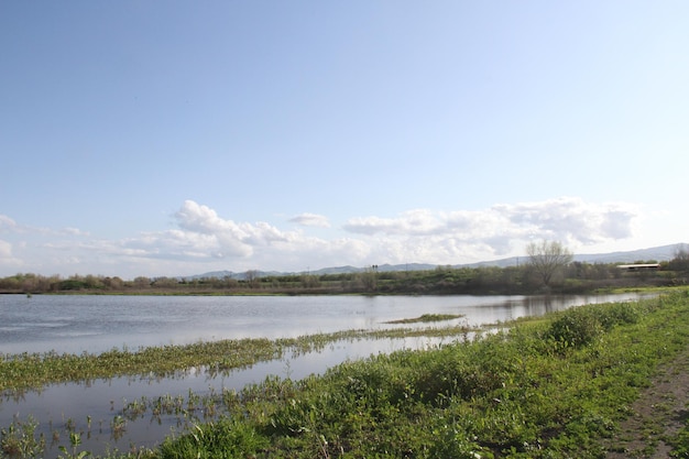 San Joaquin Wildlife Preserve Californië