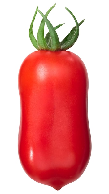 San marzano tomaten verse paden