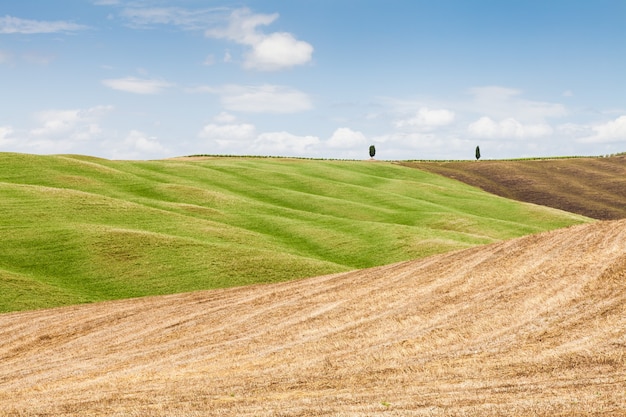 San Quirico d'Orcia, Tuscany, Italy. Classic example of local panorama