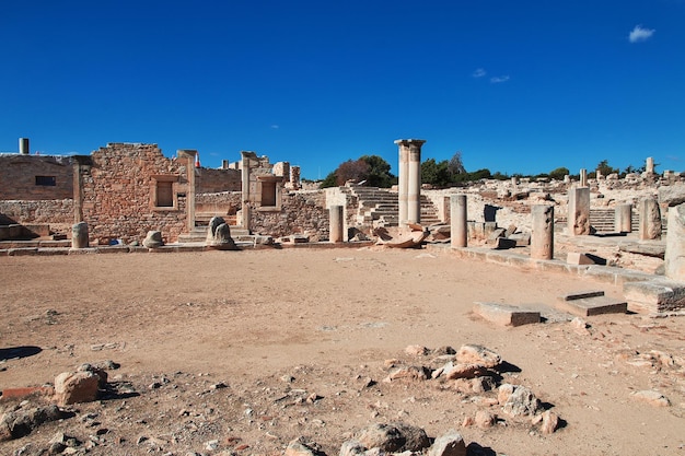 The Sanctuary Of Apollo Cyprus