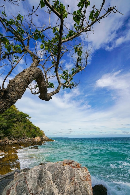 Spiaggia di sabbia tra le rocce a koh lan island tailandia