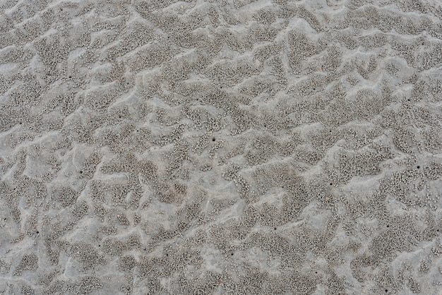 Foto spiaggia di sabbia sullo sfondo