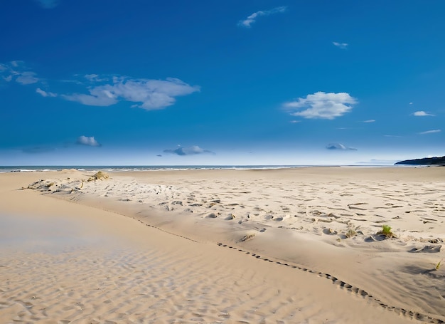 Sand beach and blue sky environment themed