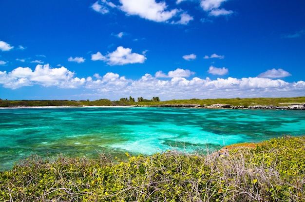 Sand of beach caribbean sea