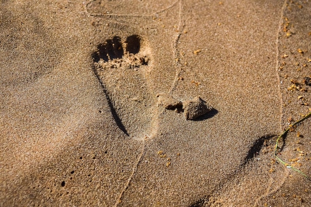 Sand on the beach and footprints