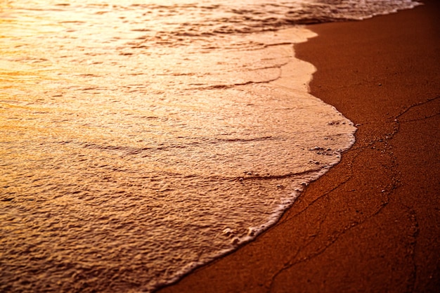 따뜻한 일출의 아침 모래 해변