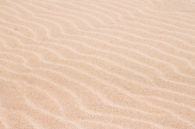 Sand on the beach in summer texture as background