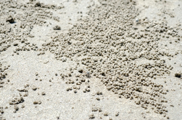 Песок на пляже с размытым фоном