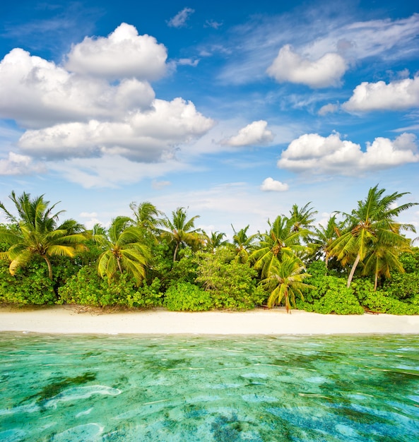 Sand beach with palm trees and cloudy blue sky. Tropical island landscape