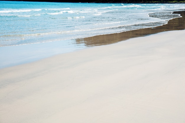 Foto spiaggia di sabbia con la luce del sole