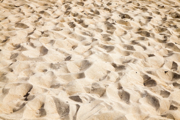해변에 모래