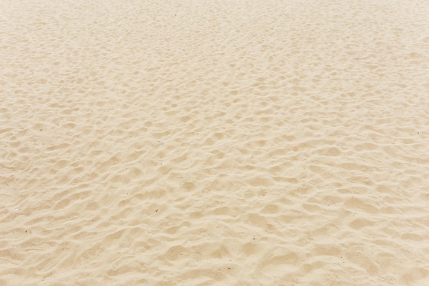 모래 해변