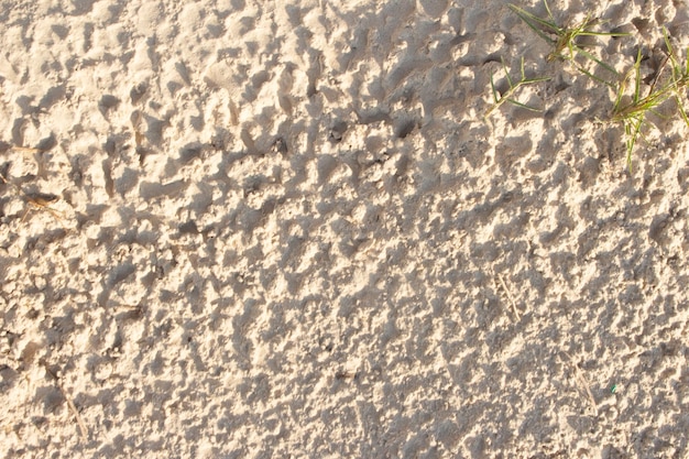 Бежевая текстура песка в текстуре солнечного дня