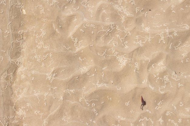 Sand beige texture in a sunny day texture