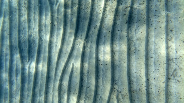 Foto nuoto subacqueo con fondo sabbioso nella laguna turchese