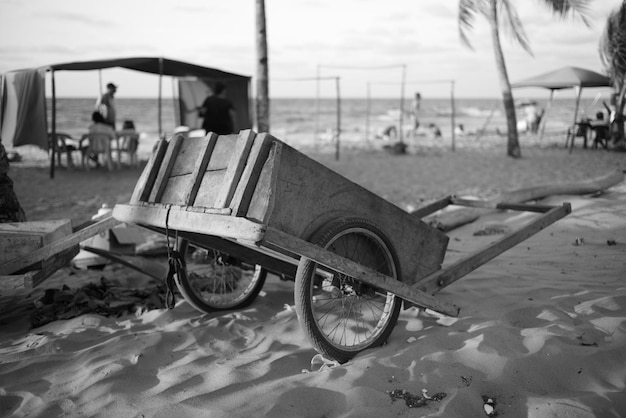 Photo sand cart on the beach